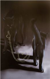 Louisa Gagliardi Resists Interpretation