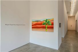 Seeing Double: Miguel Ángel Ríos’ “Merged with Vastness”