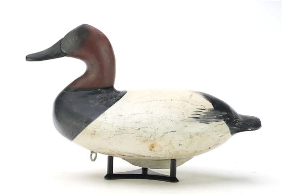 Canvasback by William Heverin