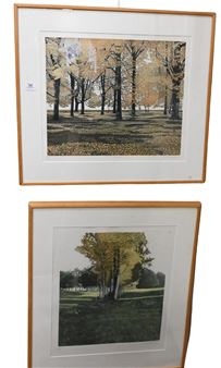 フィル・グリーンウッド ボーダーカントリー1980年 Phil Greenwood | 172 Artworks at Auction | MutualArt