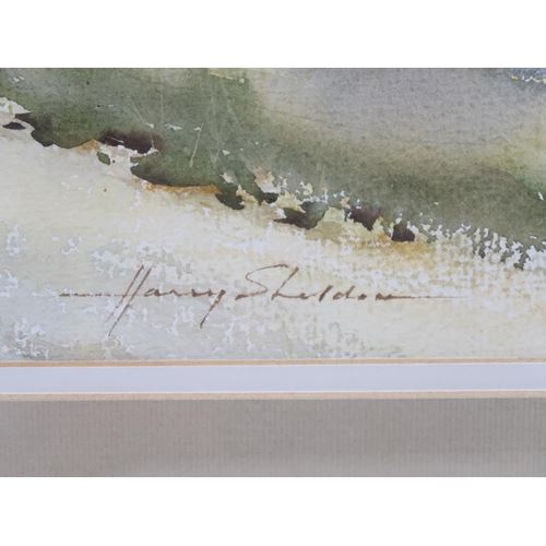 Harry Sheldon | HARRY SHELDON - PATHWAY TO NORTHCHURCH THROUGH CASTLE ...