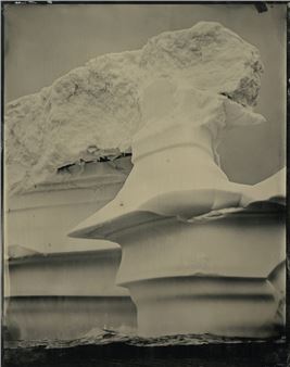 Susan Seubert: Fragile Beauty - PDX Contemporary Art