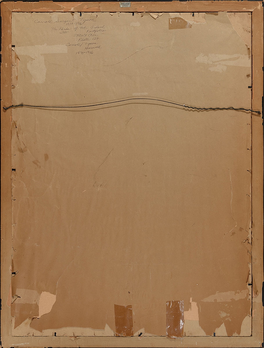 Artwork by Carroll Sargent Tyson, Carroll Sargent Jr. Tyson (1877-1956) Watercolor "Snowy Owl", Made of watercolor