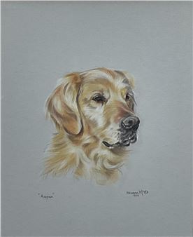 Portrait of a Golden Retriever - Sheena McCall