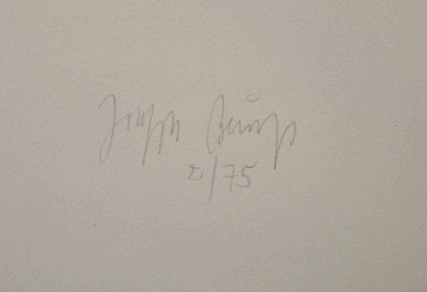 Artwork by Joseph Beuys, Tote Hirsche, Made of etching