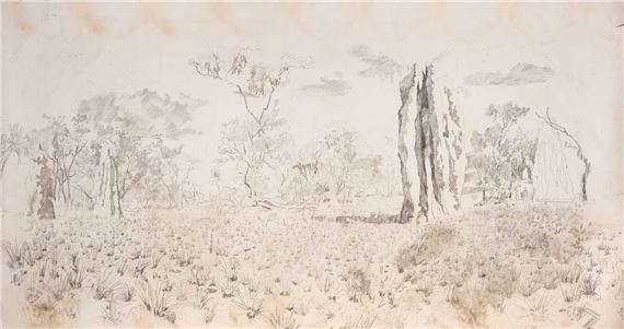 CATHEDRAL TERMITE MOUNDS by Lev Vykopal, 2000