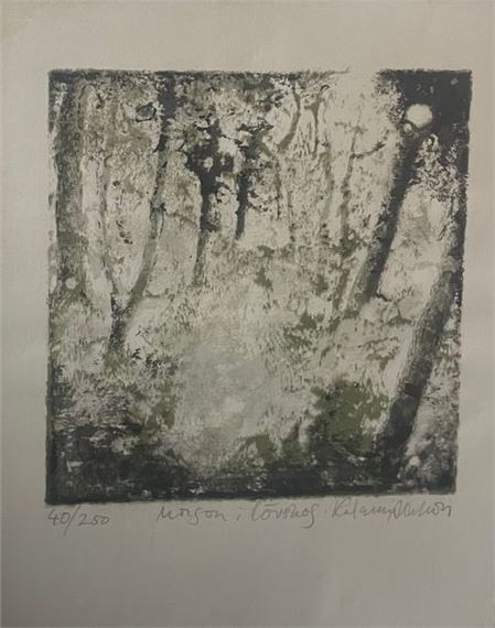 Lithograph by Katarina Axelsson