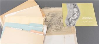 Collection of Pencil and Mixed Media Drawings for The Book: Obstetrical Illustrations - Elizabeth Brödel