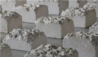 Art Fair Tokyo 2025: Twenty Years of Connections Between East and West