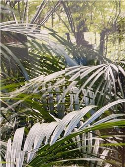 Four March Exhibitions That Foster Connection to Place