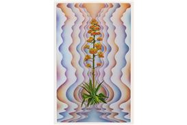 Wilding Cran Gallery Opens New Melrose Hill Location with Collaborative Exhibition