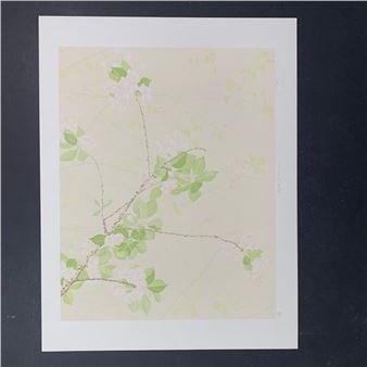 Apple Blossoms - Jon D'Orazio