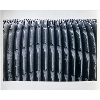 "Oro Seco" - Ricardo G. Elias