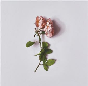 The Top Exhibitions To See In London: March 2025