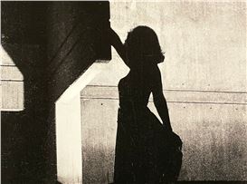 The Luminous Magnetism of the Transformistas