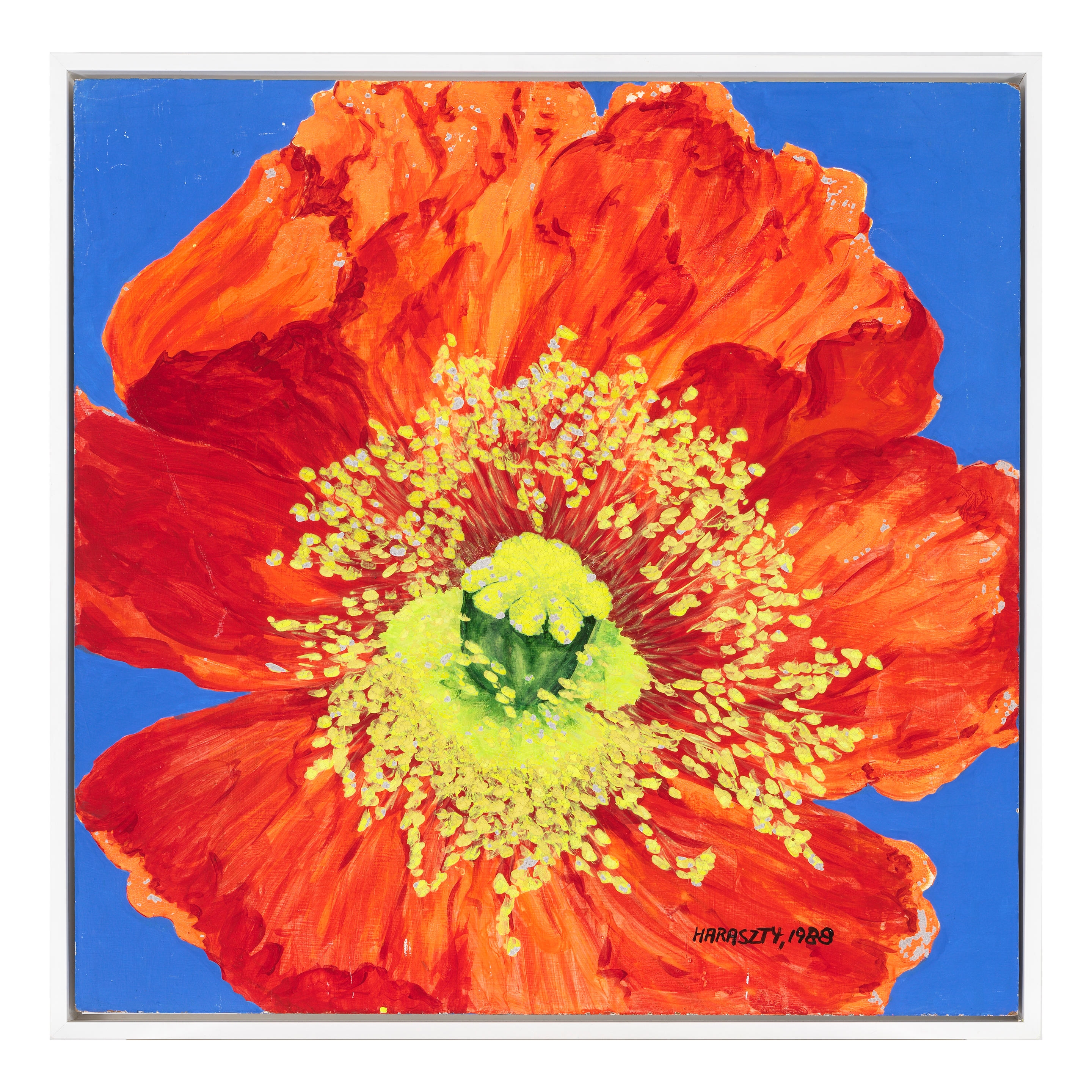Artwork by Eszter Haraszty, Untitled (Blue Hydrangeas) and Untitled (Orange Poppy) (Two Works), Made of acrylic on masonite