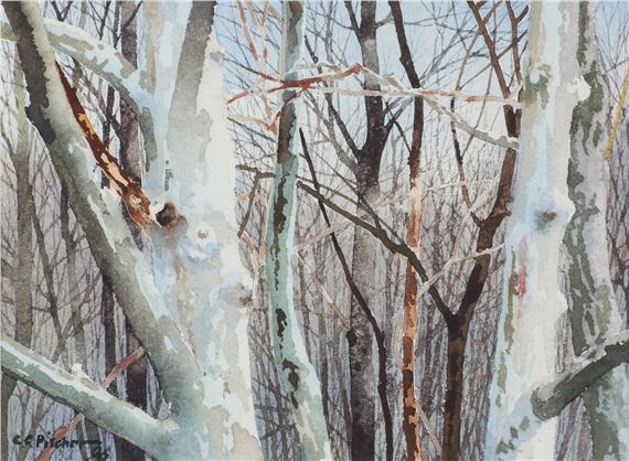 Charles Pitcher framed watercolor Grouping by Charles Pitcher