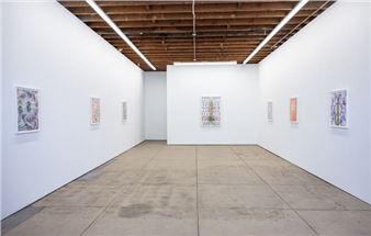 Installation view of Francesca Gabbiani exhibition at Wilding Cran Gallery.