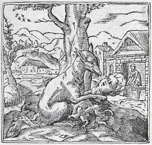 The Hands that Shut the Sun - Hollybush Gardens