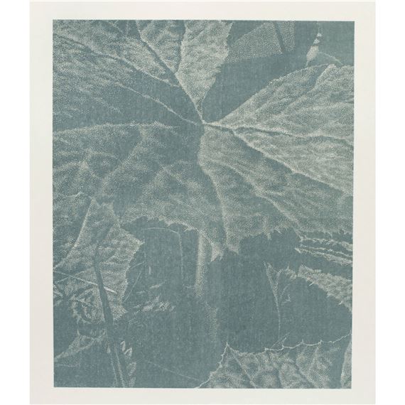 Bagatelle "Pestwurz by Franz Gertsch, 1993