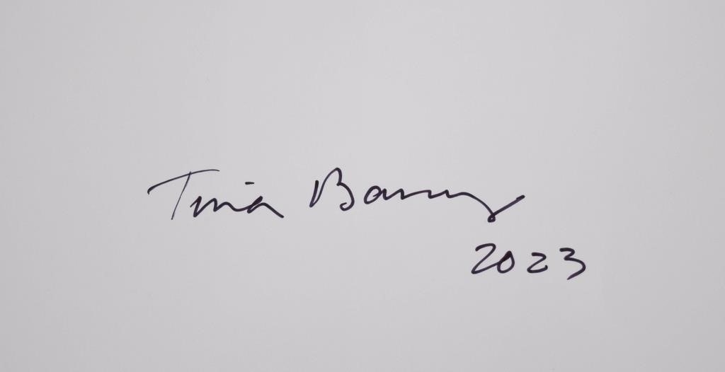 Tina Barney | 1945-). The Beginning (2023) | MutualArt