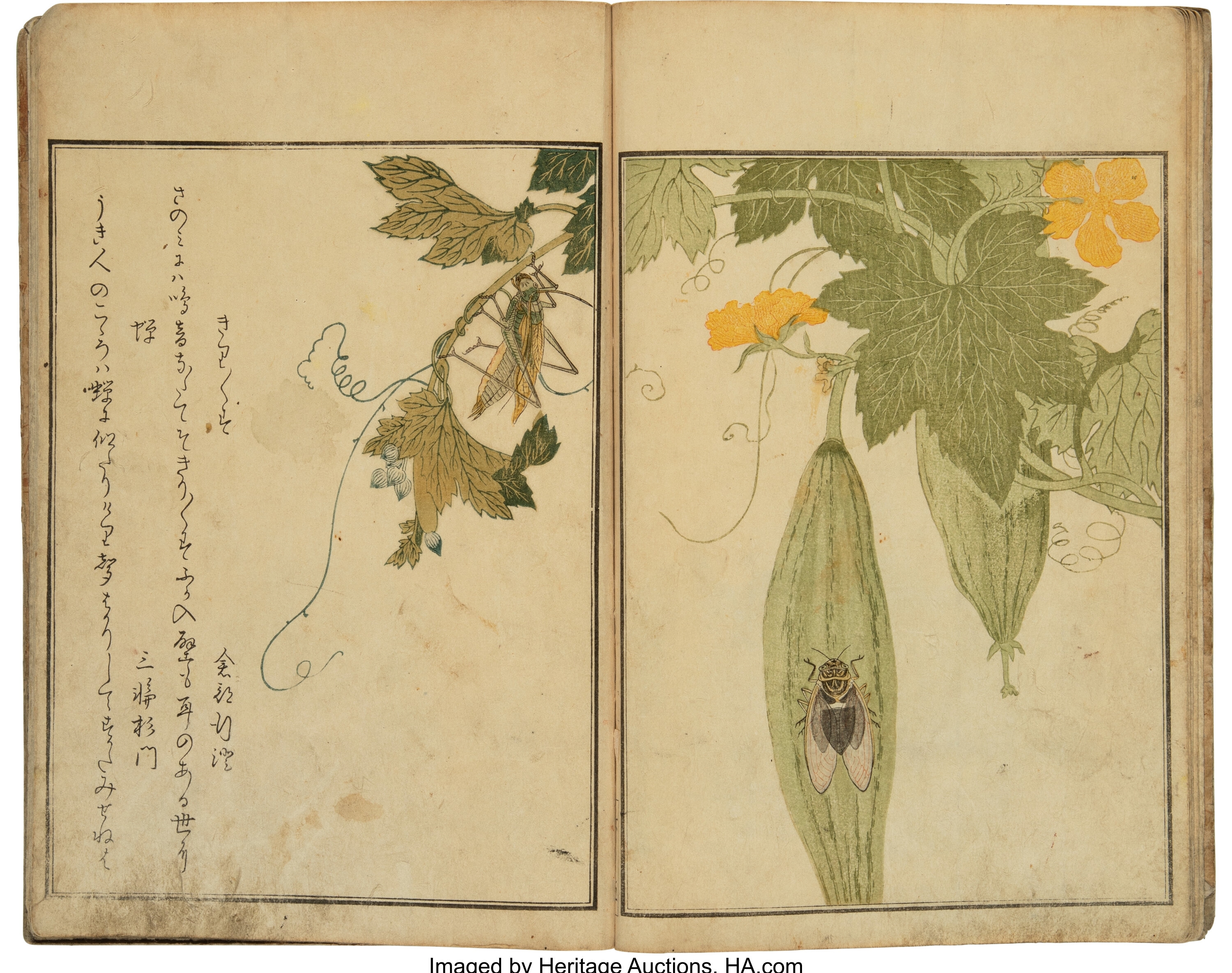 Kitagawa Utamaro | Picture Book of Crawling Creatures (The Insect Book ...