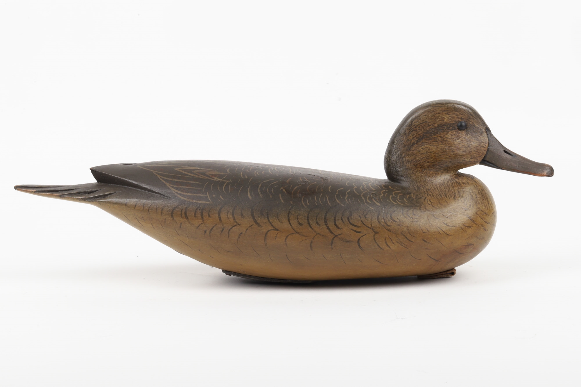 Bob White | Pintail Hen and Drake Pair - Bob White | MutualArt