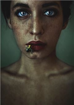 Sotheby’s Celebrates 50 Years of Photography with an Extraordinary Auction in New York