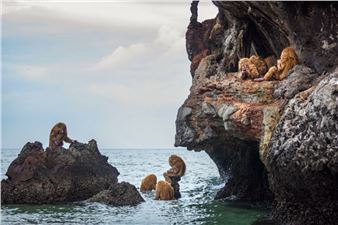 Myths and Fables Inthe Nordic Pavilion