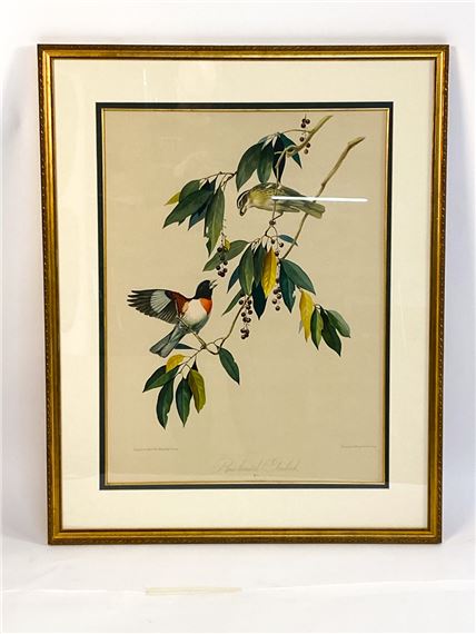 Roger Tory Peterson | ROGER T. PETERSON (1908-1996) BIRD PRINTS