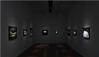 Louise Hearman - Roslyn Oxley9 Gallery