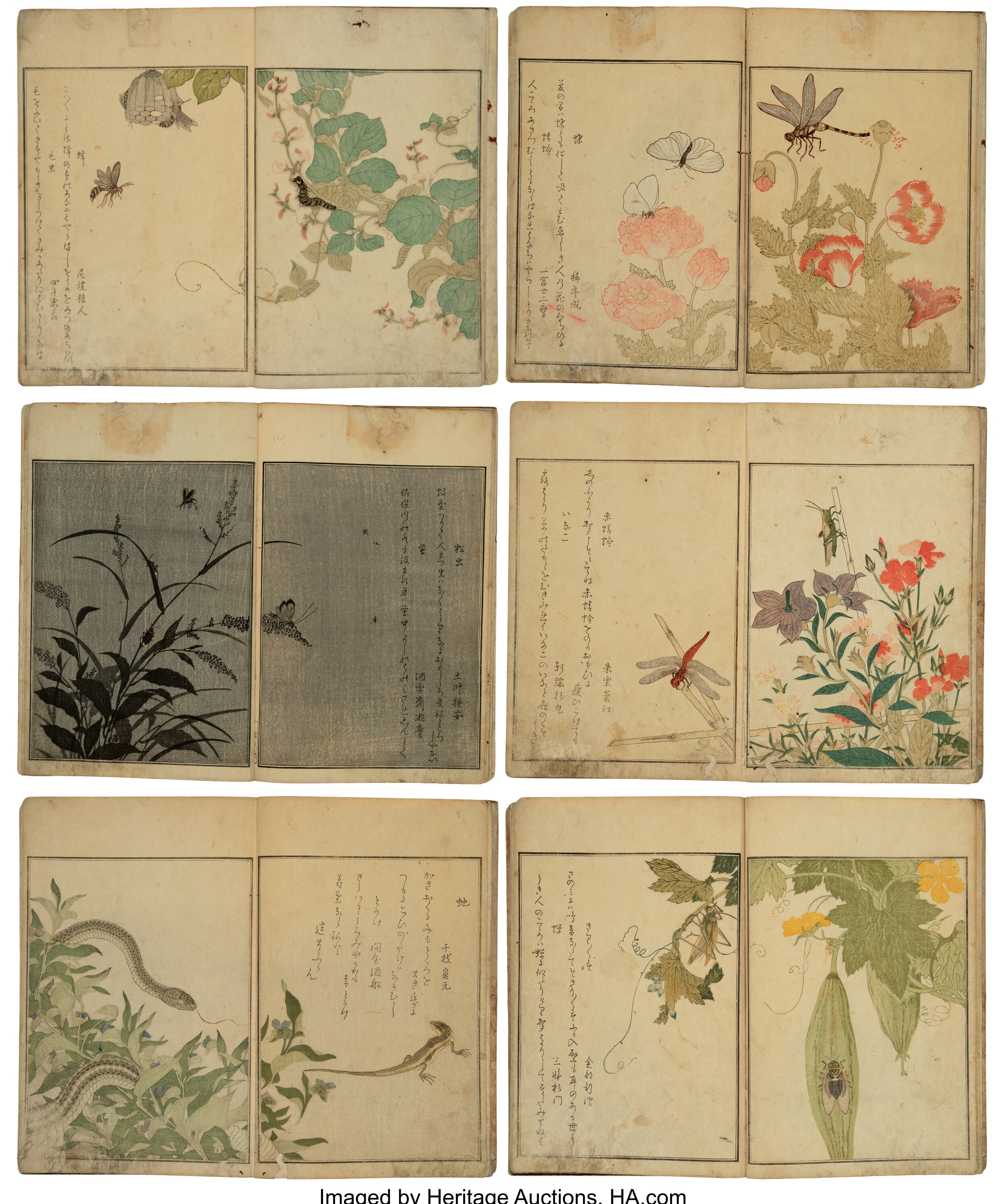 Kitagawa Utamaro | Picture Book of Crawling Creatures (The Insect Book ...