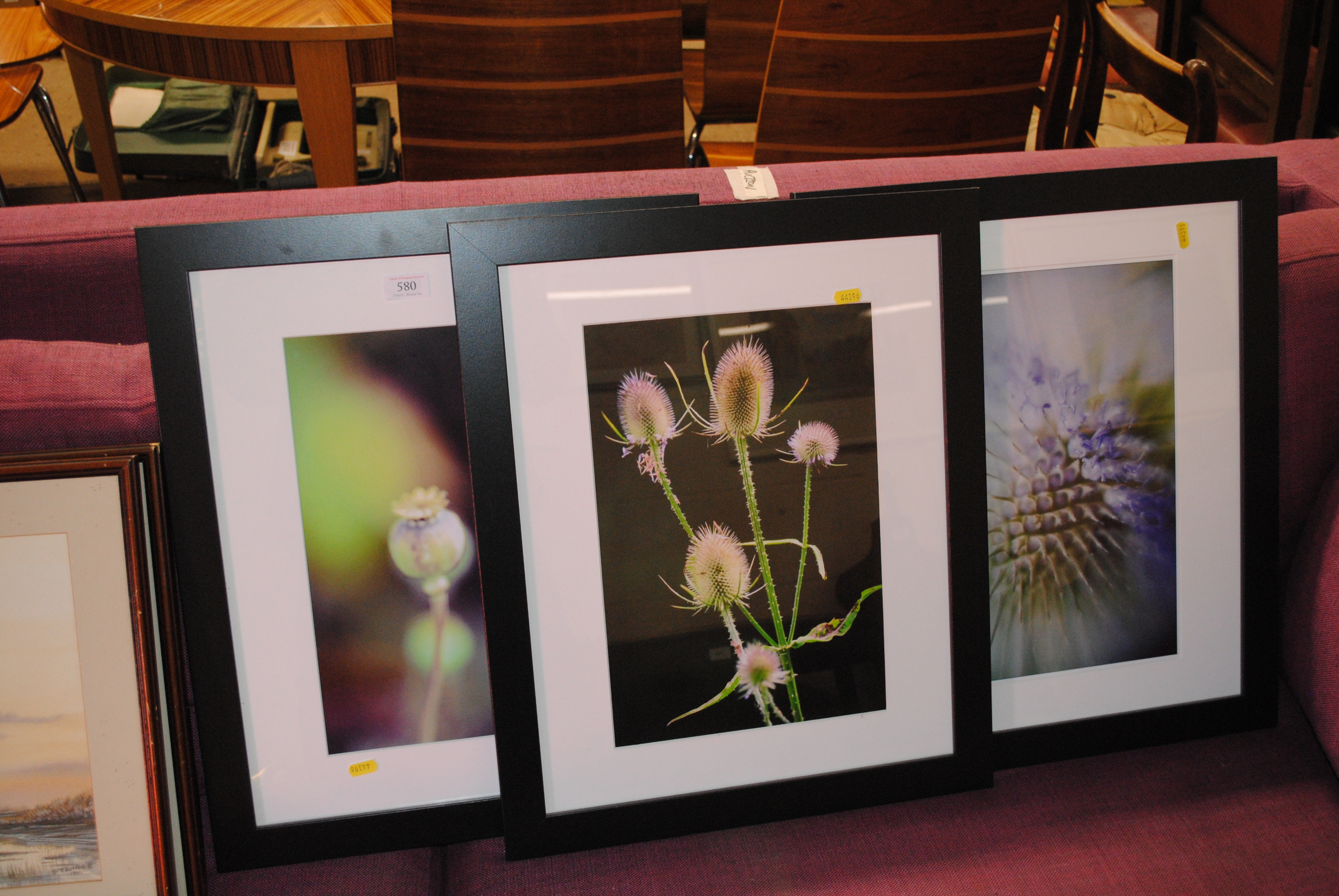 Artwork by David Howe, 'Poppy Se, Made of photographic prints