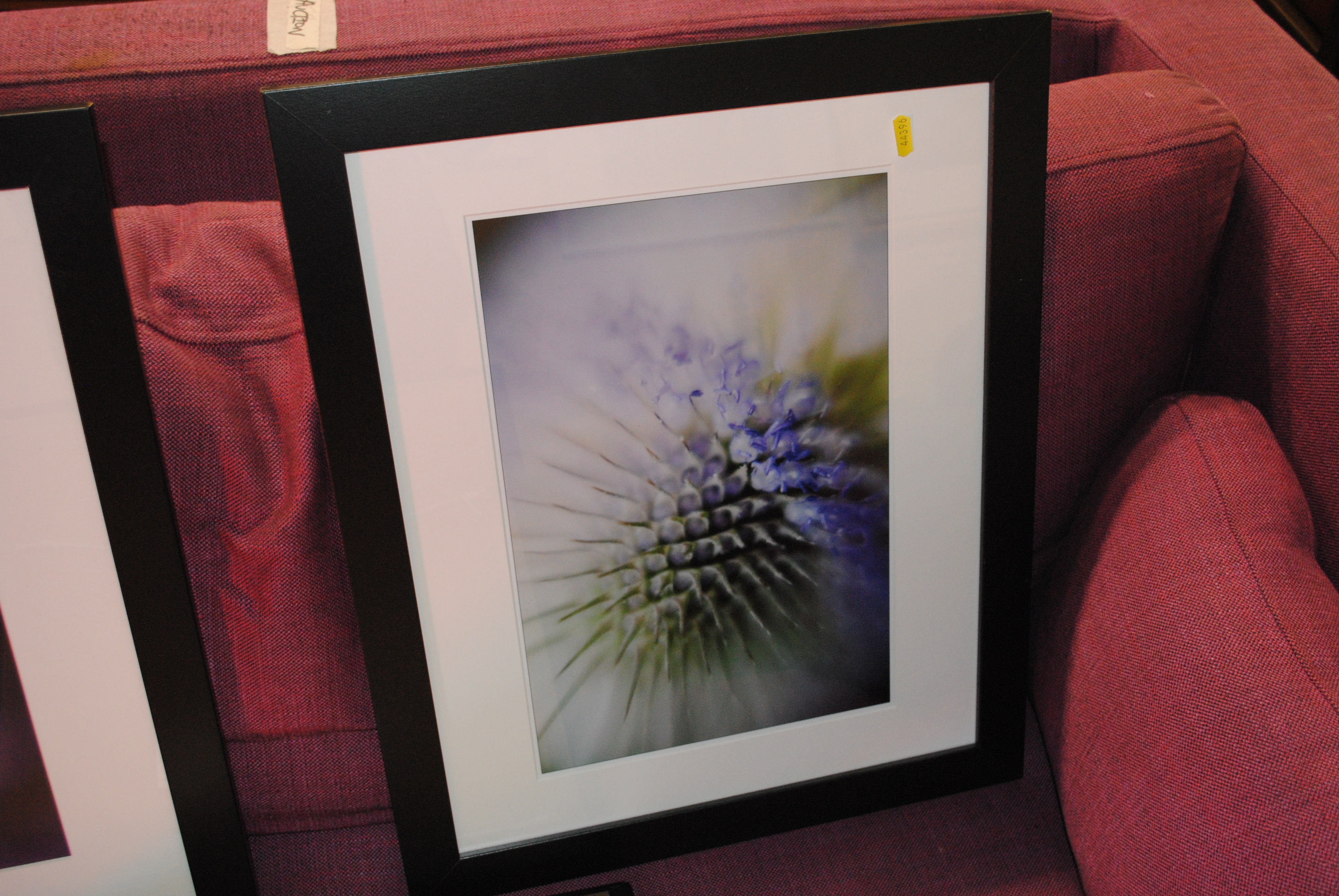 Artwork by David Howe, 'Poppy Se, Made of photographic prints