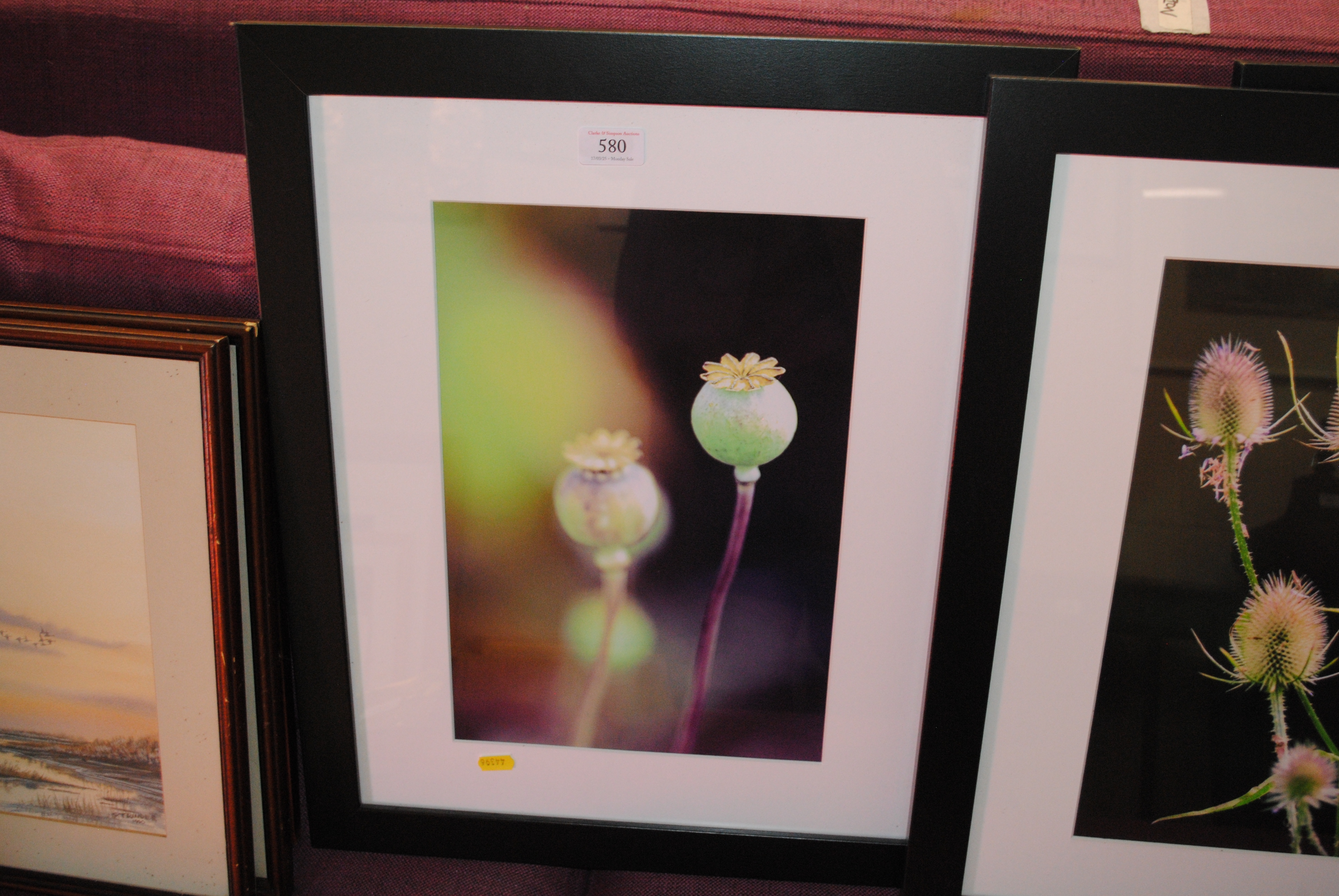 Artwork by David Howe, 'Poppy Se, Made of photographic prints