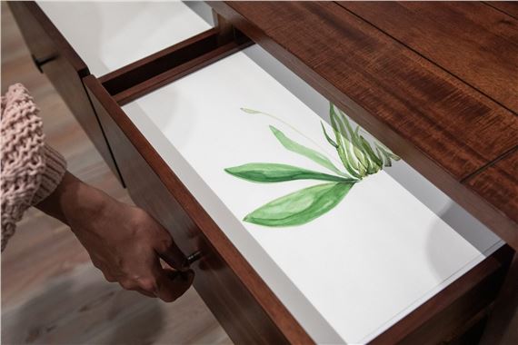 Temitayo Ogunbiyi: You will have revelations along felled branches and longer roots/routes - The Arts Club of Chicago