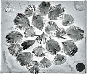 The Pursuit of Knowledge - M - Museum Leuven