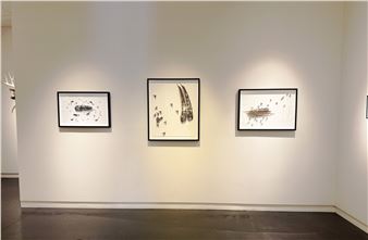 Specimens - Gail Severn Gallery