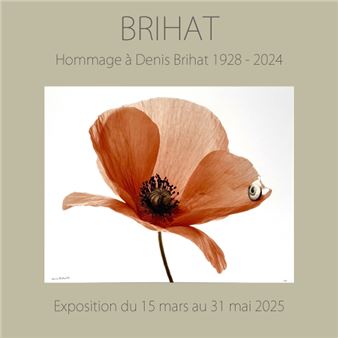 Brihat - Galerie Camera Obscura