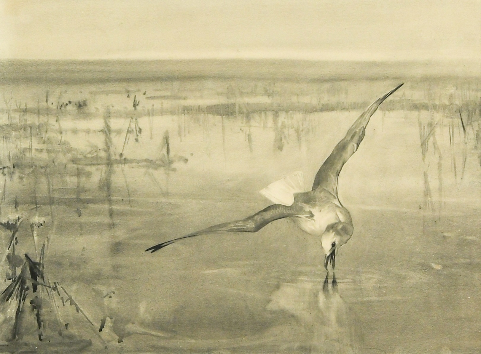 Artwork by Frank Southgate, Frank Southgate RBA (British, 1872-1916, Made of monochrome watercolour