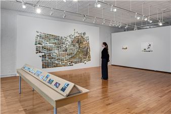 David Opdyke: Waiting for the Future - Cristin Tierney