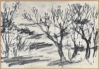 NEIGE A CANYAMEL - Roger Piter