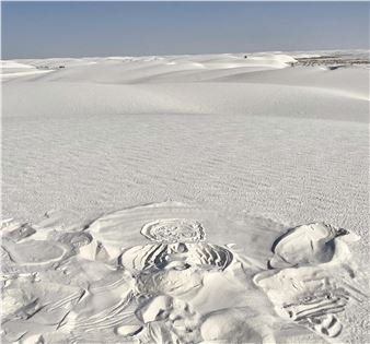 Lily Cox-Richard: Disquiet in the Sand - Institute for Contemporary Art, VCU