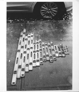 Judy Linn: Black & White - Kerry Schuss Gallery