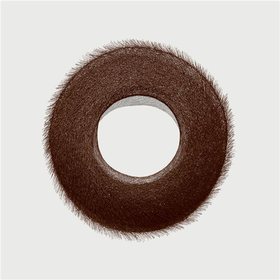 Shoal - Bronwyn Oliver