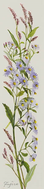 Artwork by Fujiko Hashimoto, crythantemum, Made of watercolor on paper