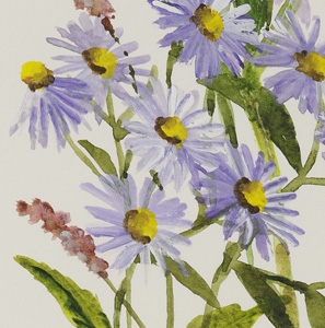 Artwork by Fujiko Hashimoto, crythantemum, Made of watercolor on paper