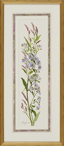 Artwork by Fujiko Hashimoto, crythantemum, Made of watercolor on paper