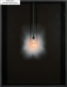 Light Bulb - Jason Shulman