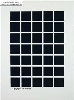 The Grey Spots are Terrorists; metal board - Jason Shulman